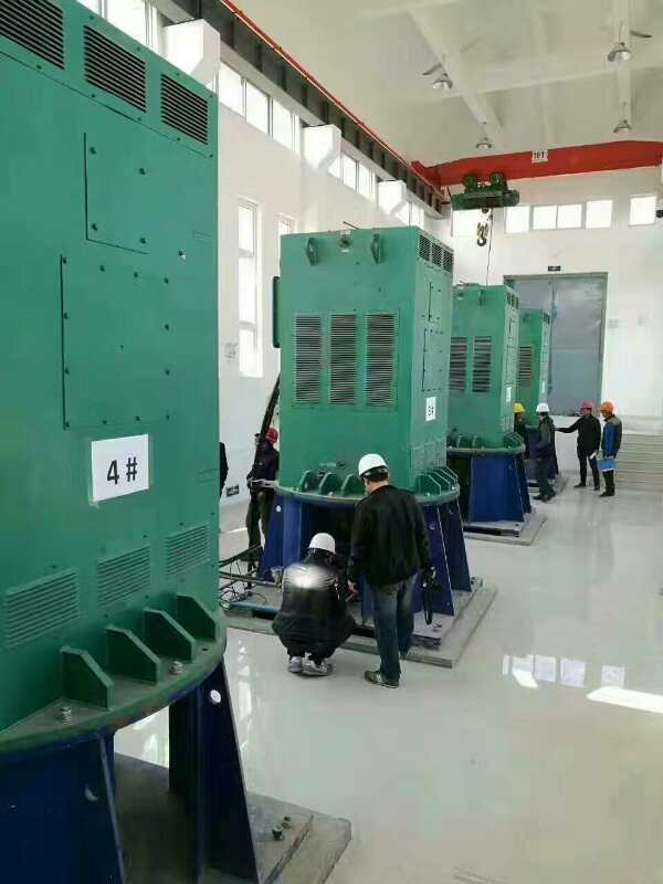 亚东某污水处理厂使用我厂的立式高压电机安装现场